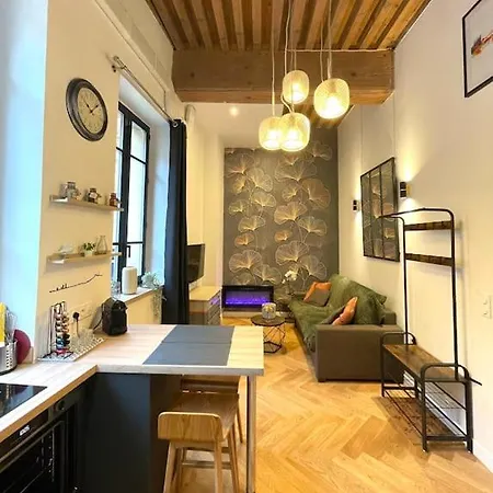 Logement De Charme Avec Balneo Apartment Lyon