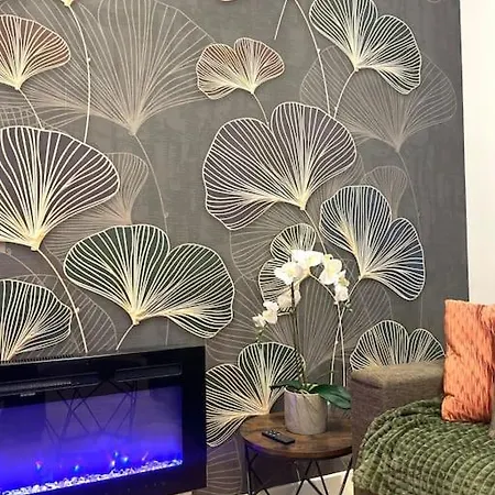 Logement De Charme Avec Balneo Apartment Lyon
